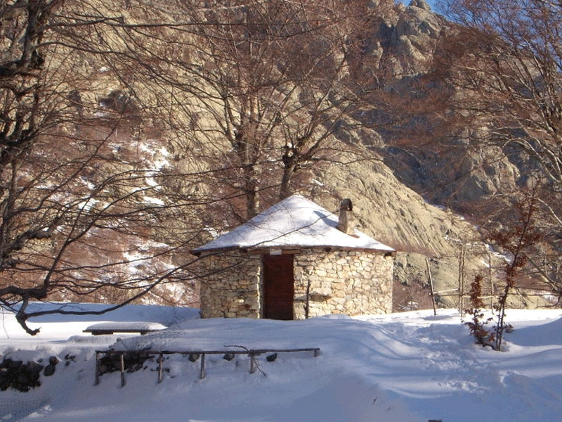 Les bergeries de Tortettu au printemps