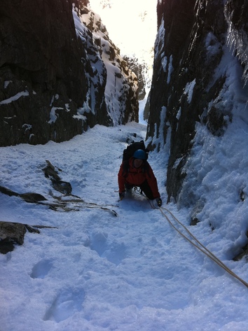 Paradise Island Paradise Island