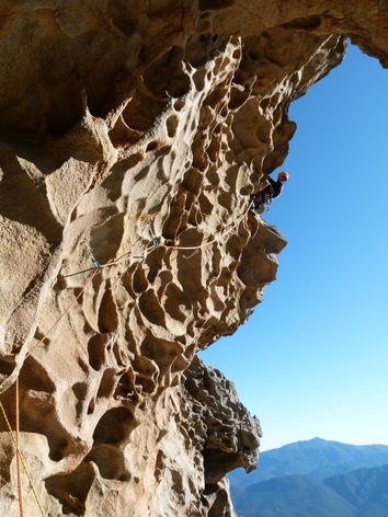 Aria Salata Aria Salata