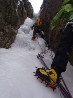 L'équipée des Barjots L'équipée des Barjots
