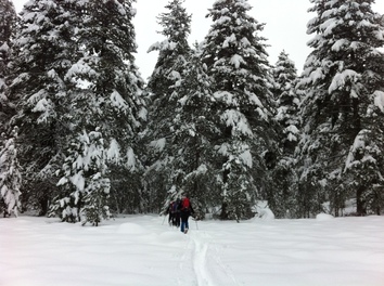 Préparatifs Raid à ski en Corse Préparatifs Raid à ski en Corse