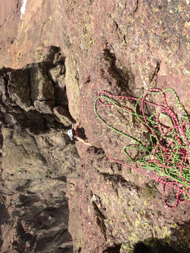 Une Finch de plus Une Finch de plus