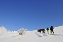 Nos prochains voyages et stages Nos prochains voyages et stages