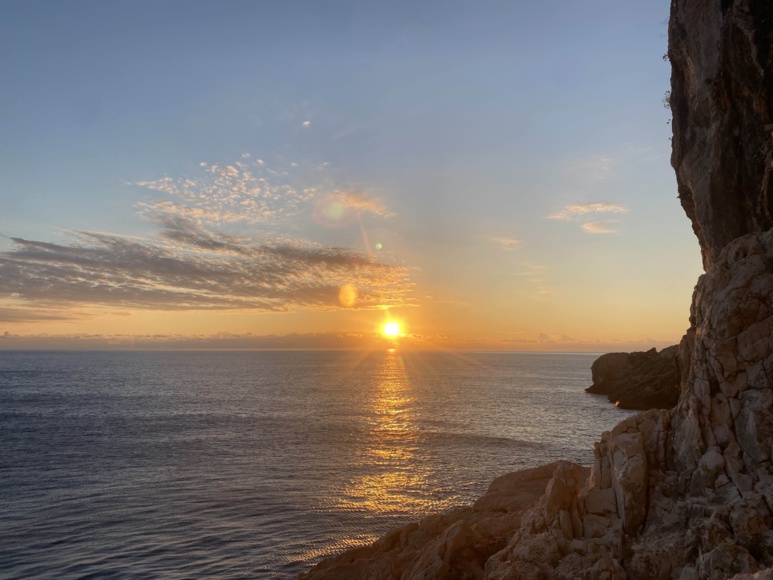 Selvaggio Blu Cru 2021 Selvaggio Blu Cru 2021