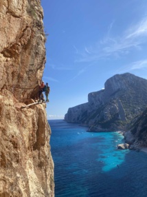 Selvaggio Blu Cru 2021 Selvaggio Blu Cru 2021