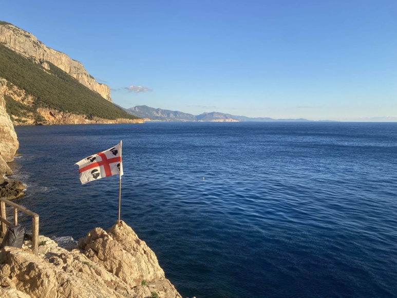 Selvaggio Blu Cru 2021 Selvaggio Blu Cru 2021