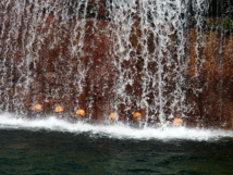 Stage Canyoning en Corse Stage Canyoning en Corse