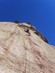 Acqua in bocca Acqua in bocca