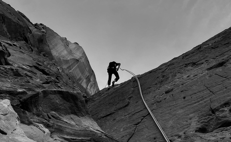Désert rats in the shade Désert rats in the shade