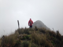 Végétation luxuriante au-delà de 4000 mètres Végétation luxuriante au-delà de 4000 mètres