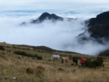 Traversée des Pinchinchas Traversée des Pinchinchas