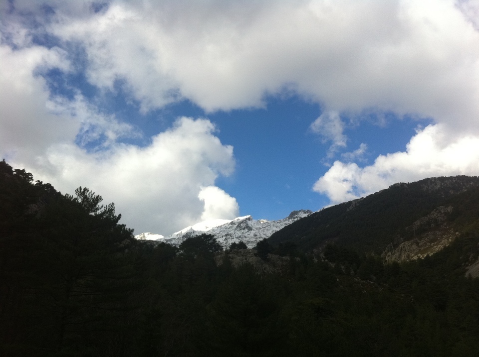 Alta Strada Alta Strada