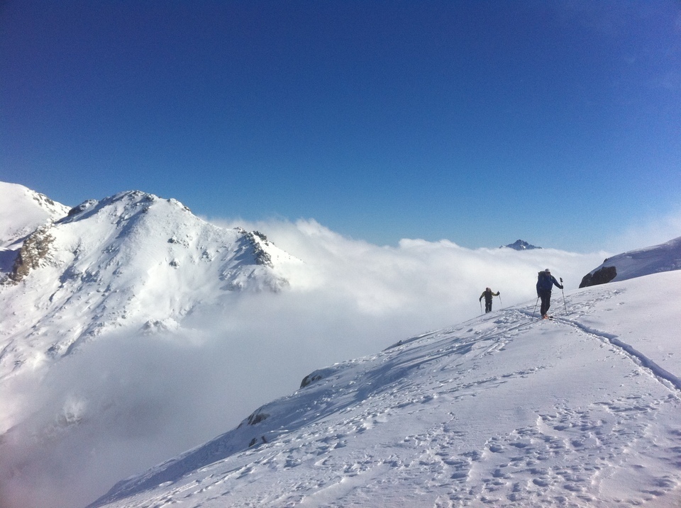 Alta Strada Alta Strada