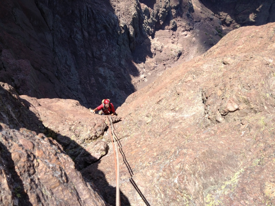 Surella d'Irlanda Surella d'Irlanda