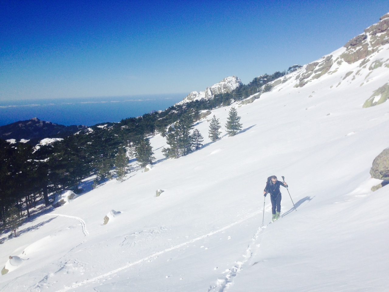 La sortie de la fôret La sortie de la fôret