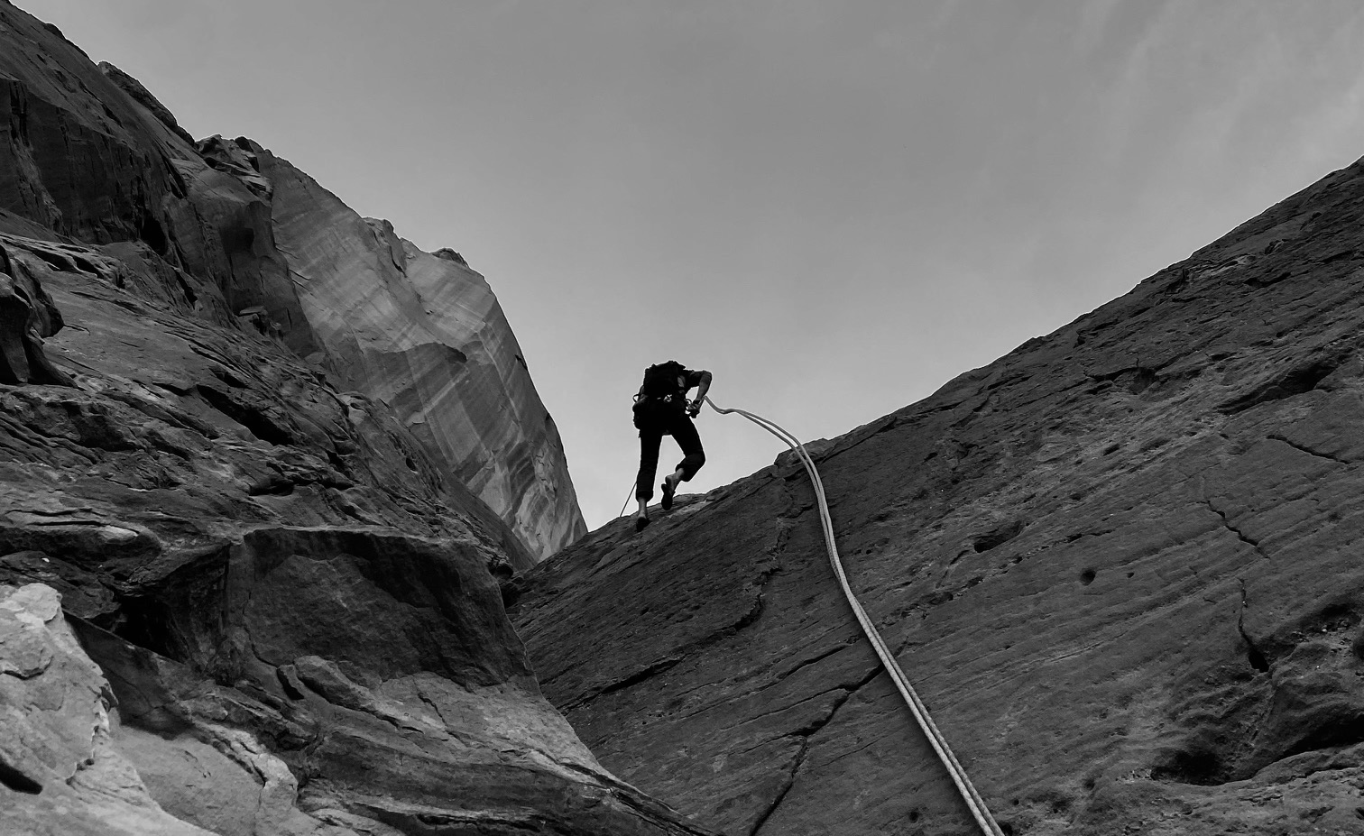 Désert rats in the shade Désert rats in the shade