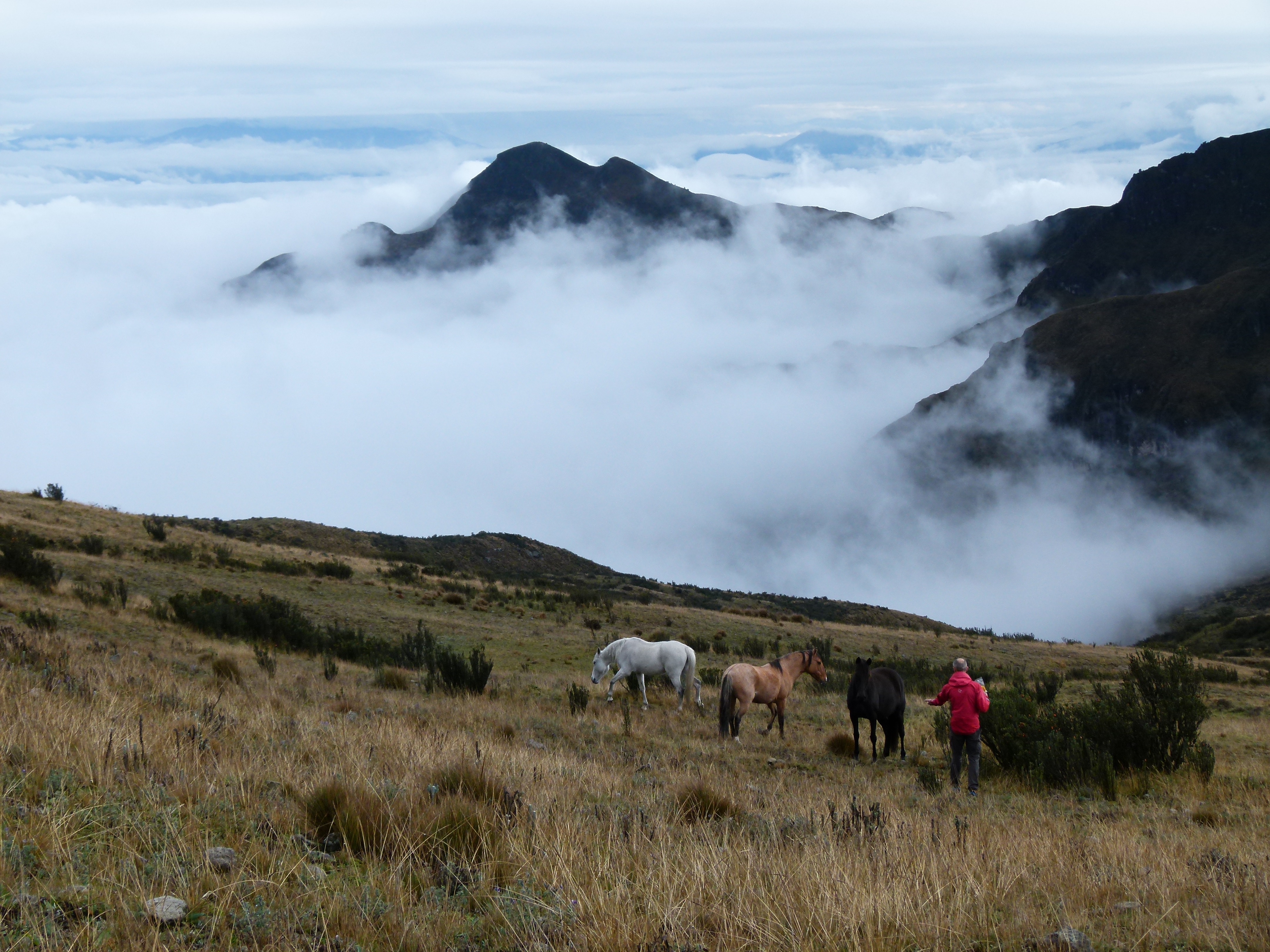 Traversée des Pinchinchas Traversée des Pinchinchas