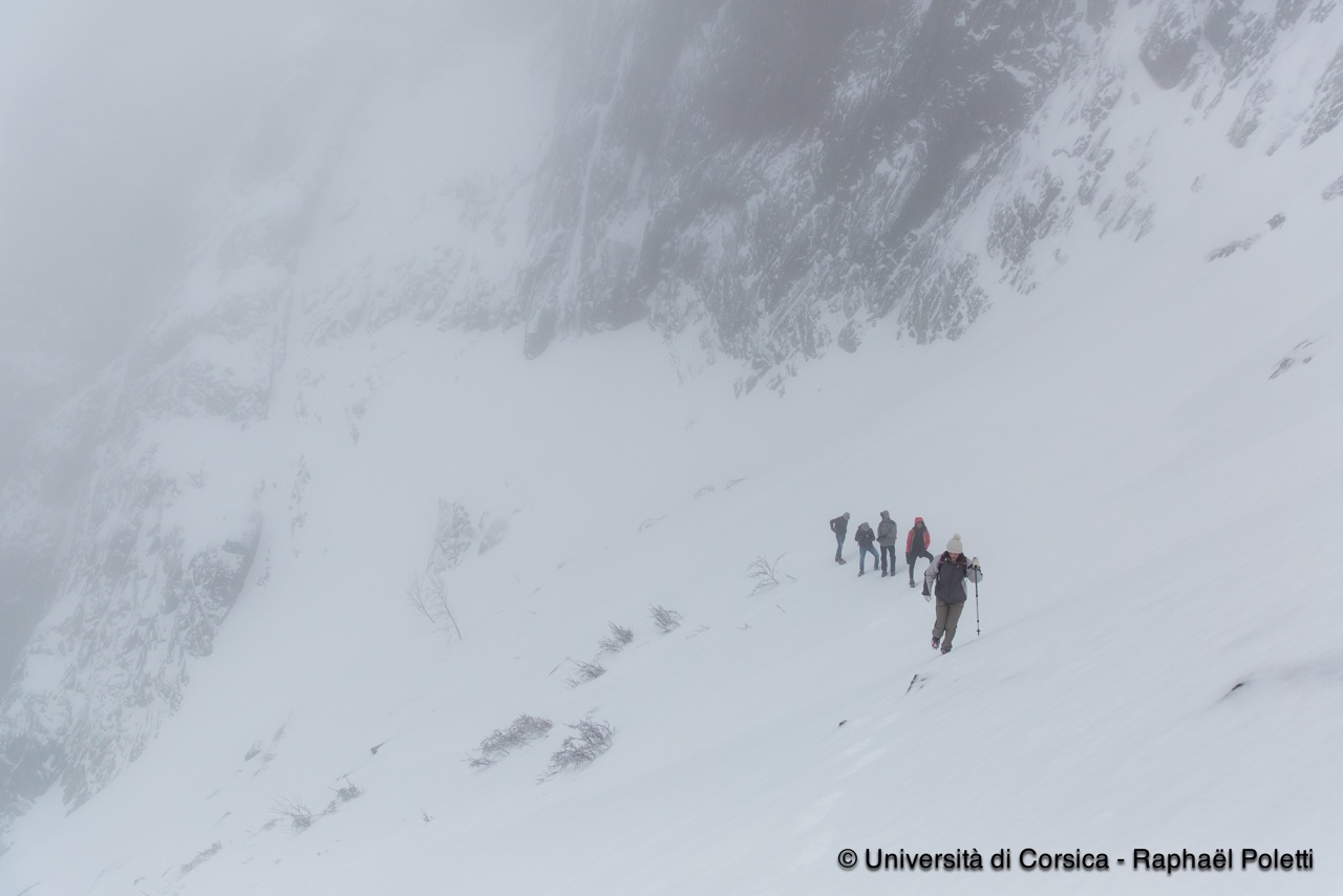 Couloir des italiens à Asco Couloir des italiens à Asco