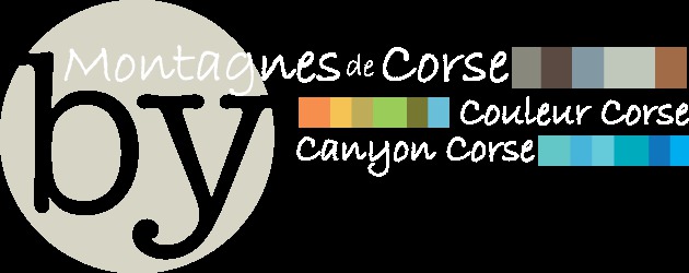 Qui sommes-nous ? Qui sommes-nous ?