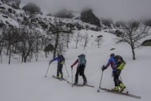 Montée en peaux de phoque