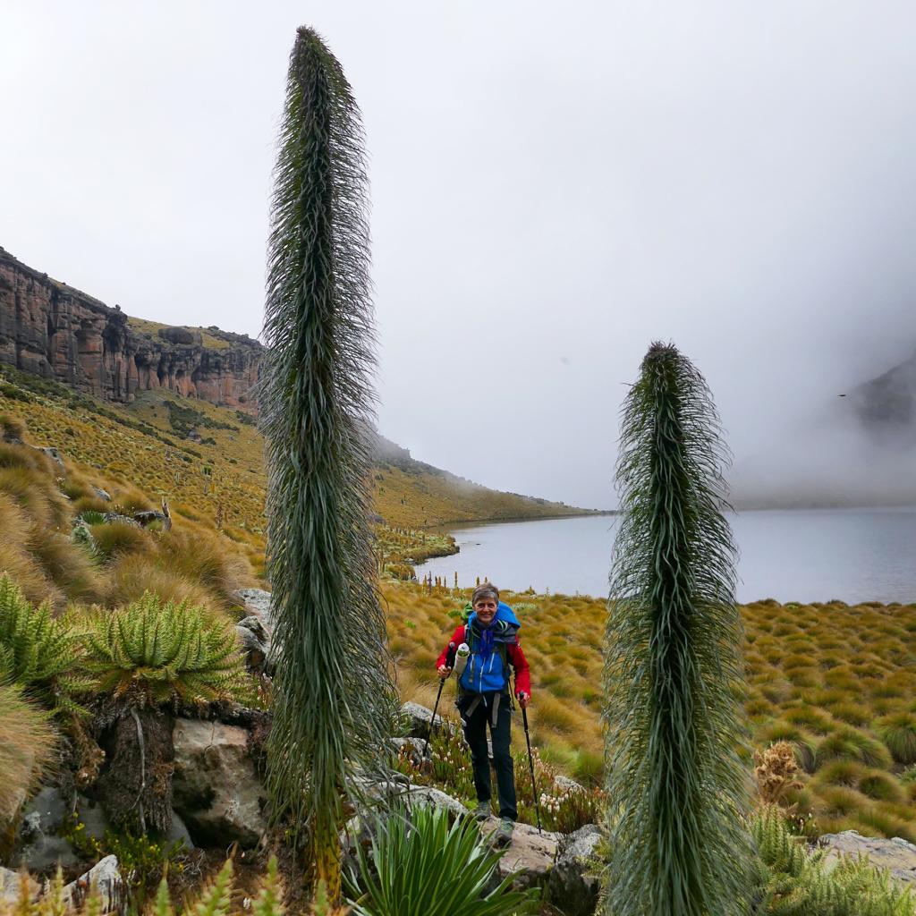 La traversée du Mont Kenya 