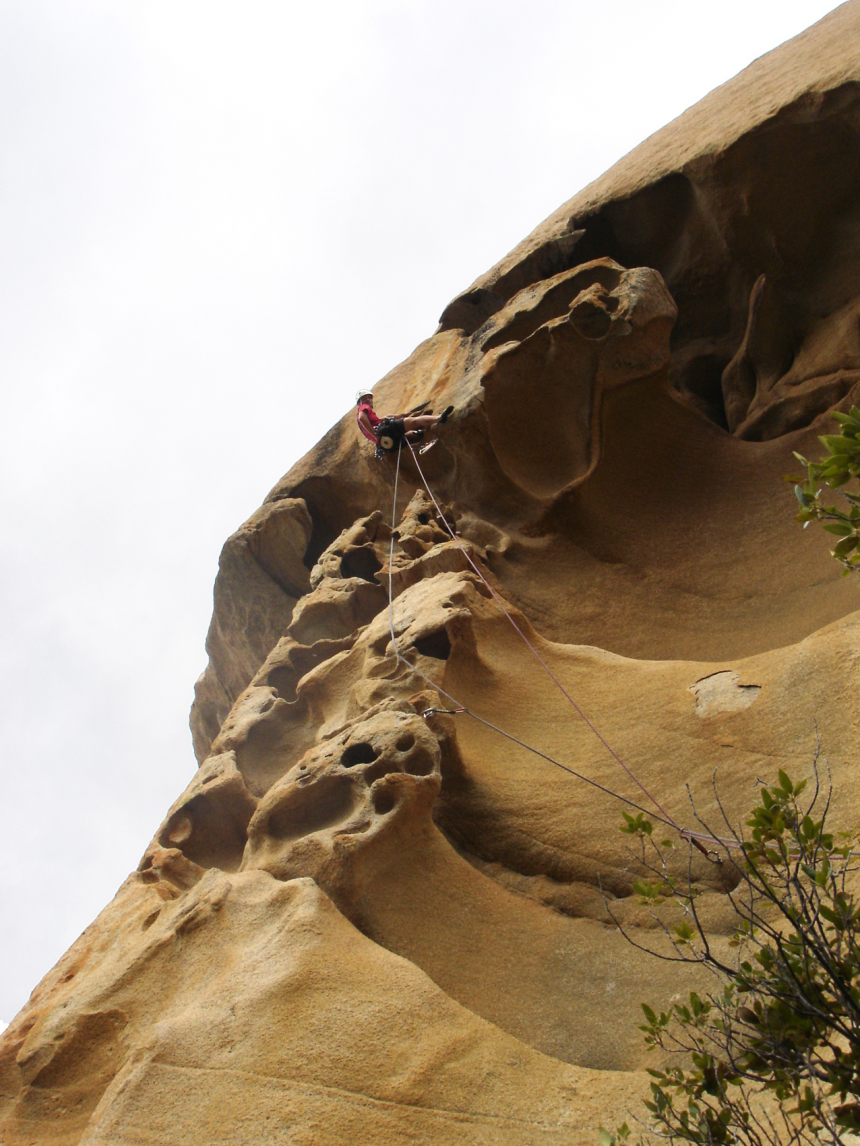 Jeff, la conque Jeff, la conque