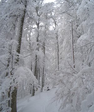 Ski de rando en méditerranée Ski de rando en méditerranée